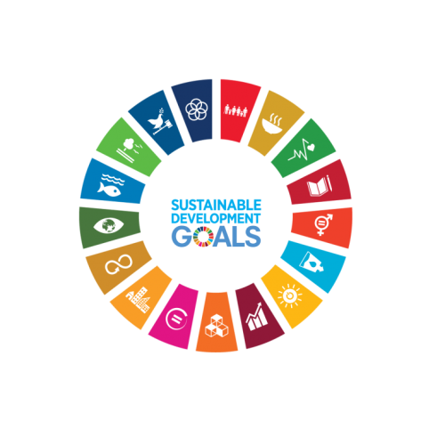 SDG-Forum Belgium 2025