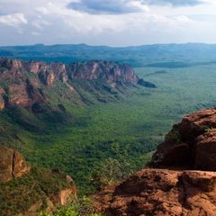 Activiteit: Cerradotentoonstelling